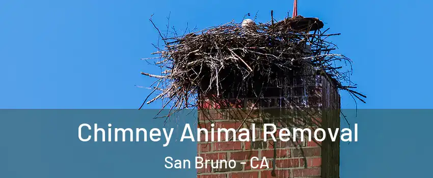 Chimney Animal Removal San Bruno - CA