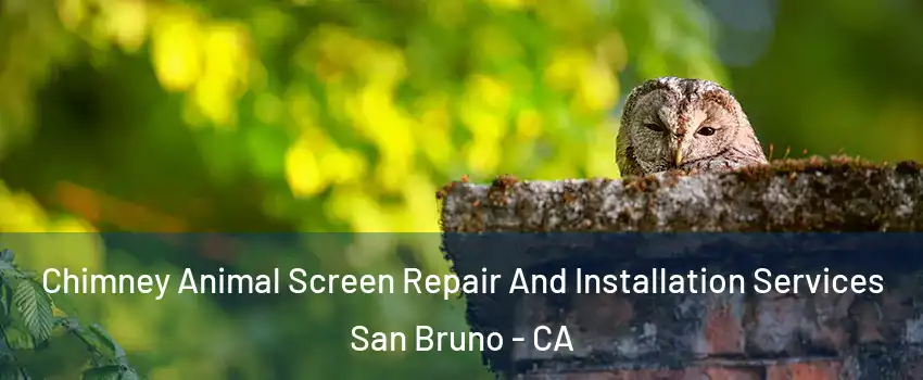  Chimney Animal Screen Repair And Installation Services San Bruno - CA