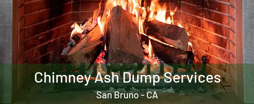  Chimney Ash Dump Services San Bruno - CA