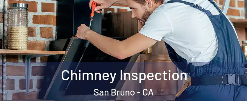  Chimney Inspection San Bruno - CA