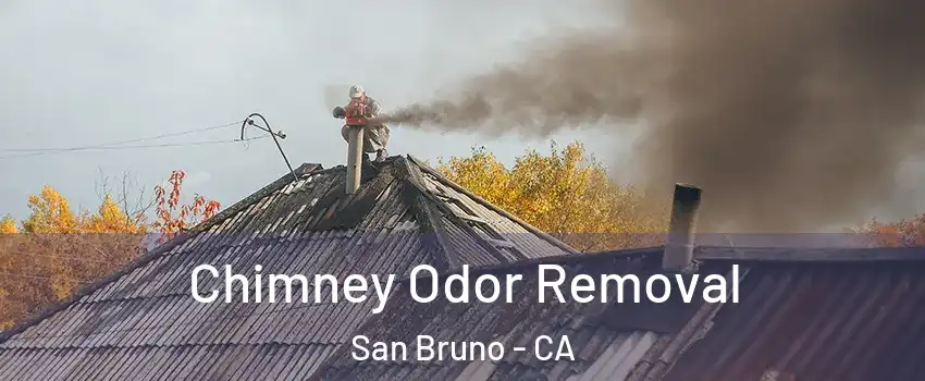  Chimney Odor Removal San Bruno - CA