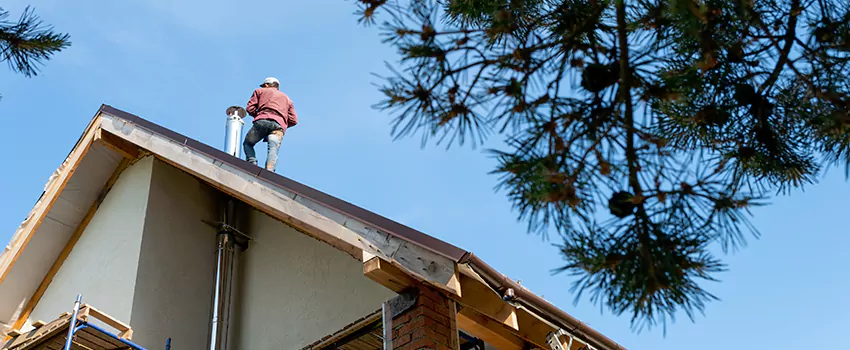 Birds Removal Contractors from Chimney in San Bruno, CA