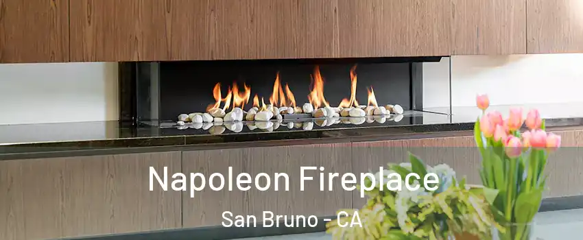  Napoleon Fireplace San Bruno - CA